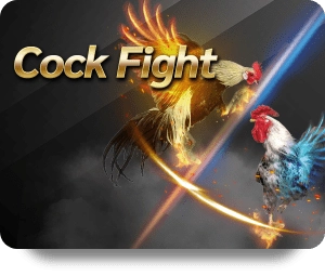 UFALAO UFA UFABET ยูฟ่า ยูฟ่เบท ยูฟ่าลาว cockfight